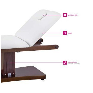 Camilla multifuncional y multisectorial con 2 motores eléctricos2238A