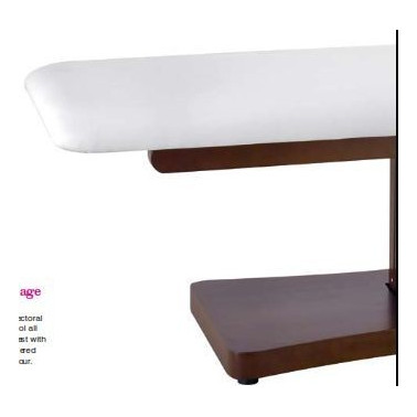 Camilla multifuncional y multisectorial con 2 motores eléctricos2238A