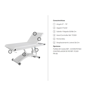 Camilla Weelko Fisioterapia 2 corpos e 1 motor eléctrico