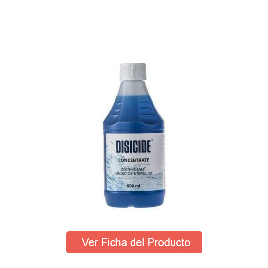 disicide 600 mililitros